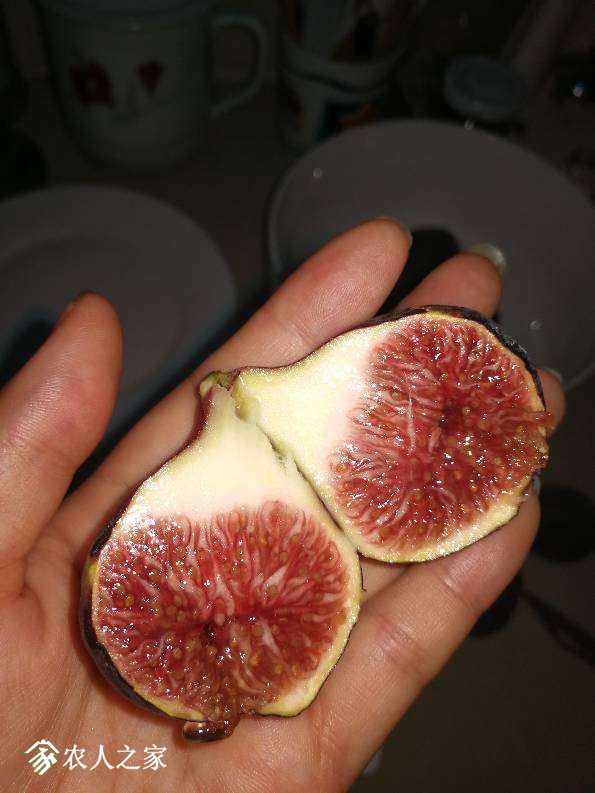 045809ekeukrvtsyv4zkhu.jpg