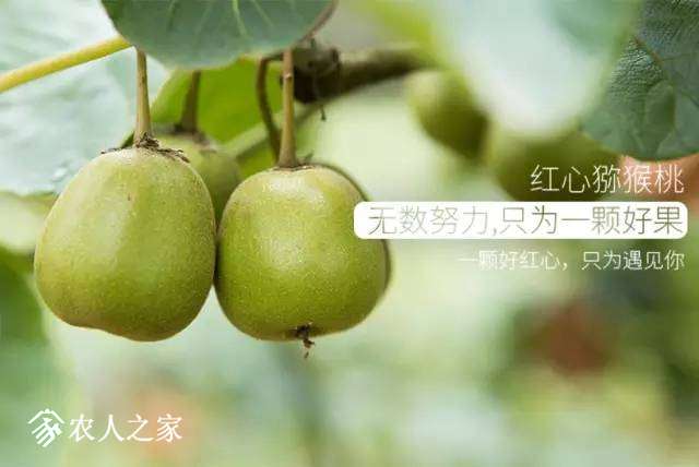 123740sukbqq84qw5w958l.jpg