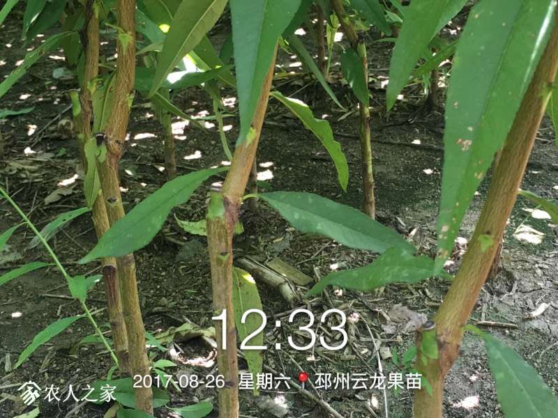 133848s8upmbibru8xhwcz.jpg