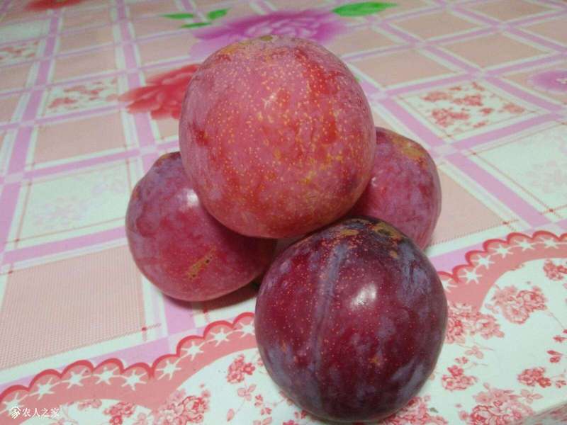 200807j5er9lruaoay1o04.jpg