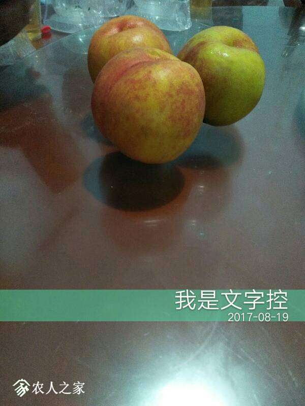203553btwbbkmqwwy5wkmn.jpg
