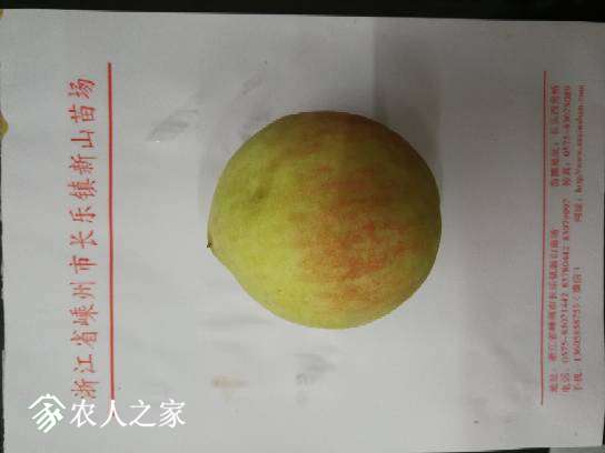 211841gjk1zbl6r3393wjb.jpg