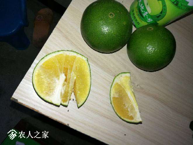 224826opzqqzzlsugpusq8.jpg