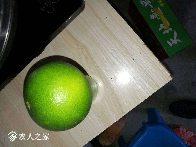 224827haq2agae1tvmk2zd.jpg