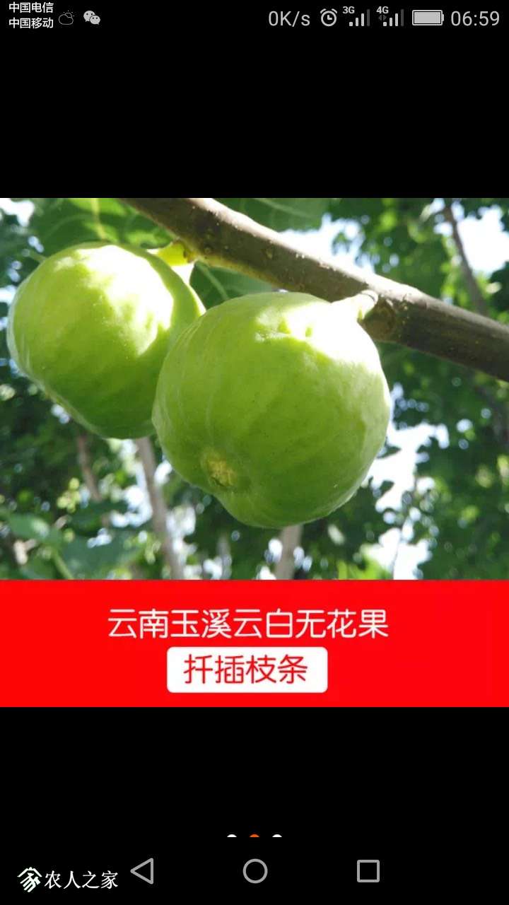 070634n2daj3efdzhrcfck.jpg