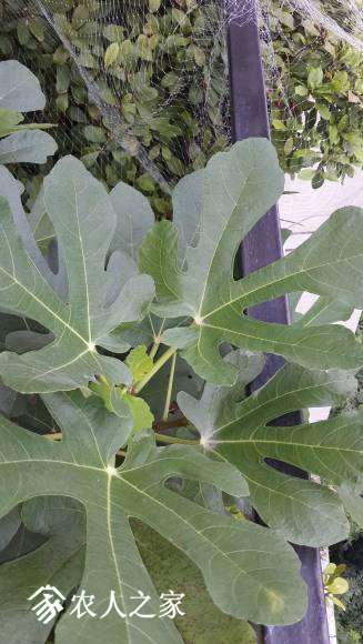 20170814_072756.jpg