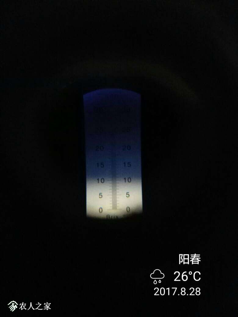203607qtb169cf6fz0309t.jpg