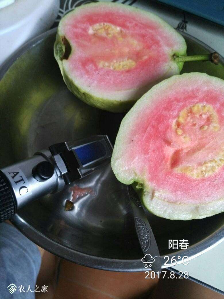 203609yzp6dq1y558ydco0.jpg