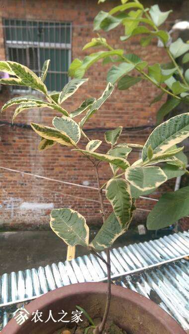 134838anmstpixg63mpxx6.jpg