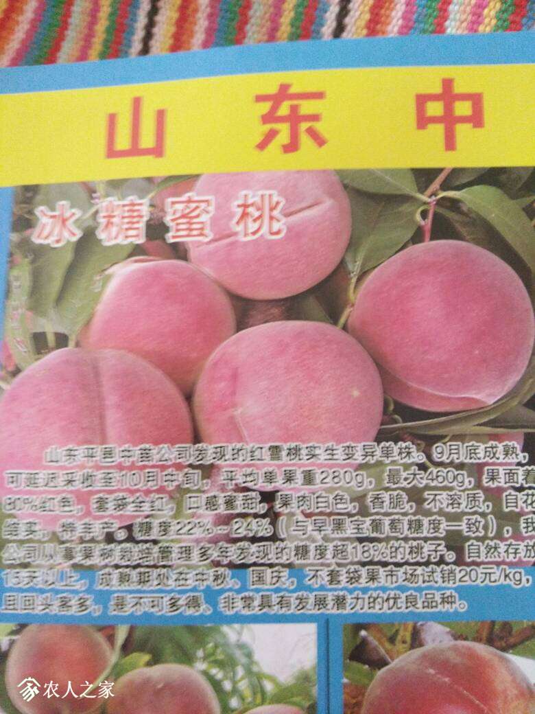142409maoihxipkspgvxfa.jpg