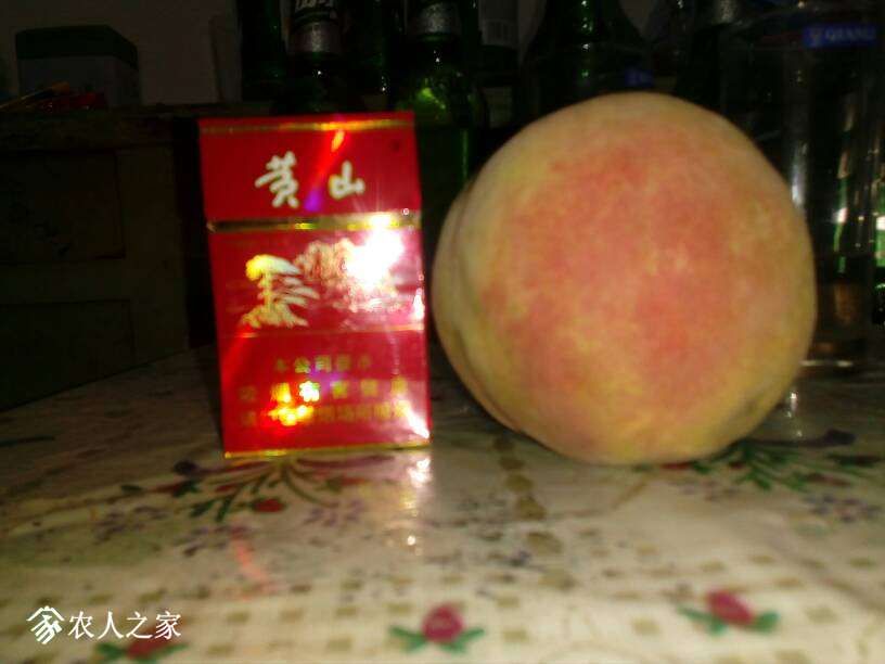 043337cherassnrrar0a1p.jpg
