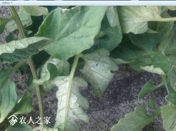 QQͼƬ20170830080656.jpg