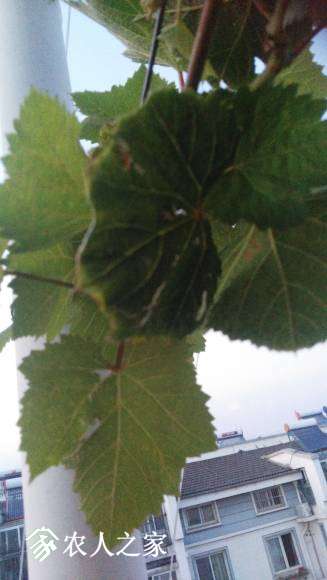 IMG_20170828_184210.jpg