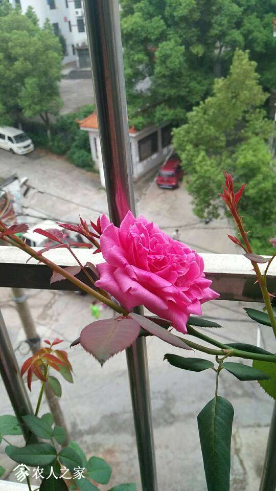 095224prc3w3c888g81g77.jpg