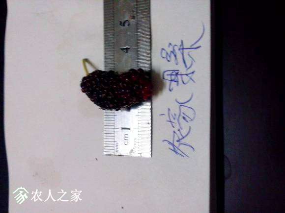 IMG_20120107_021747.jpg