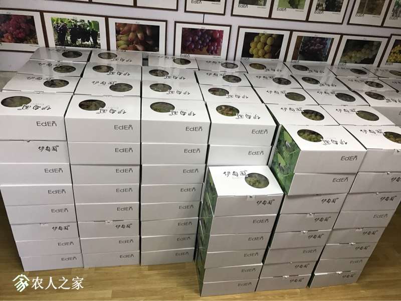 163939c8sff31g3xlfpgjl.jpg