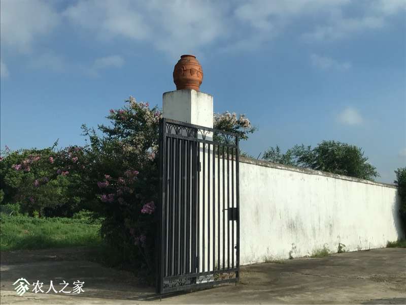 164133zgddzqsvh0qq105m.jpg