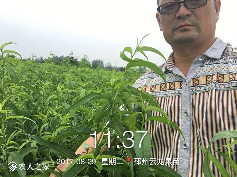 165645p47rgx2wa49aoub2.jpg