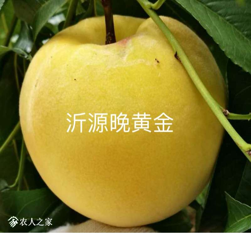 165646lvabhp0bm78xl7hx.jpg