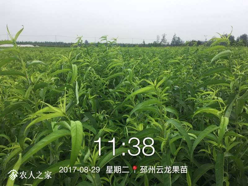 165709cah0xc6600ea0n6p.jpg