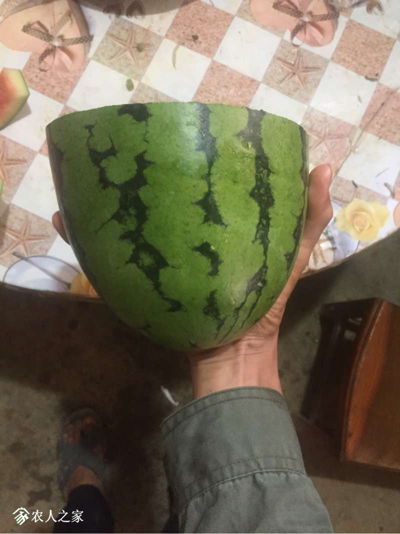 094228xzdls9d5dldfyfko.jpg