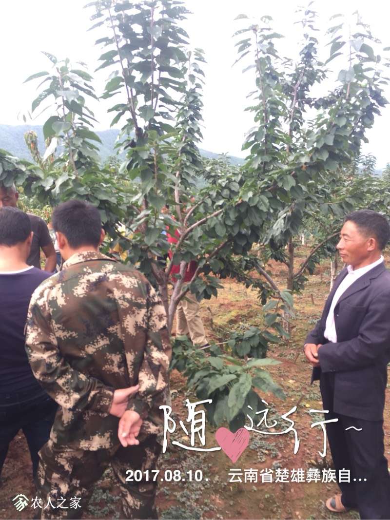 202721sgpqlqrsquaapxiu.jpg