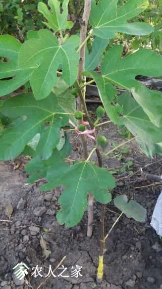 20170902_052925.jpg