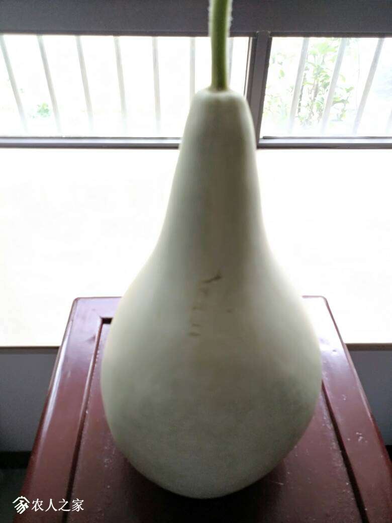 150735do0c42bocm6od68n.jpg