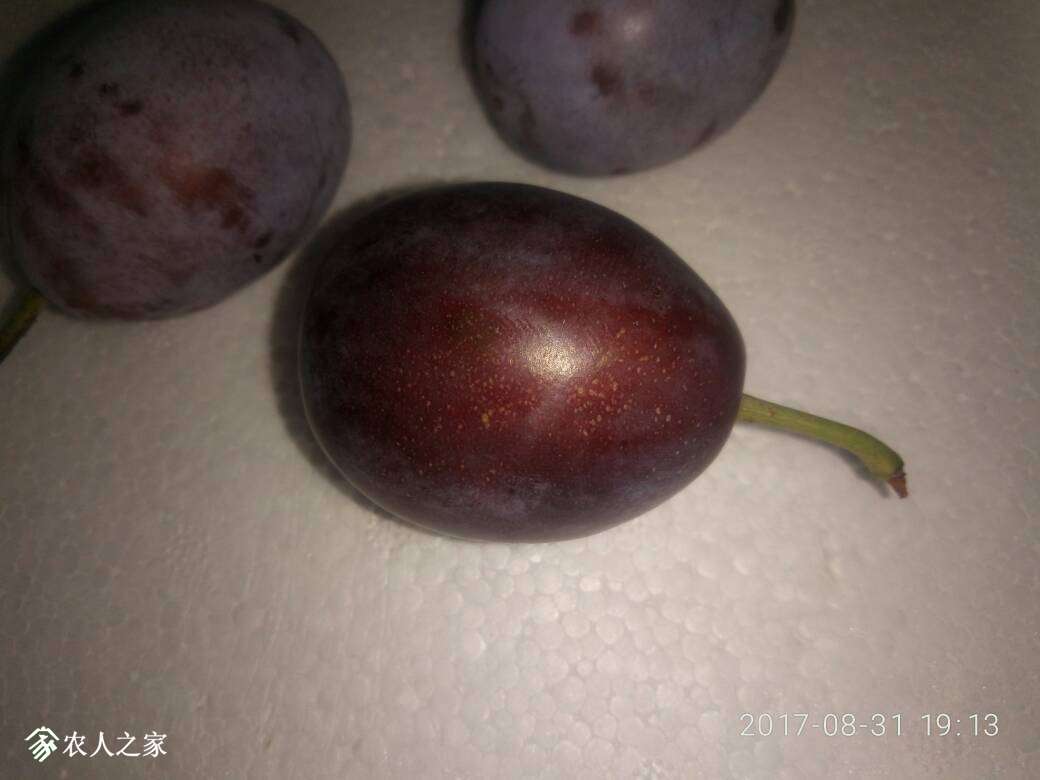 212831uvwvvg15vzrwwgj0.jpg