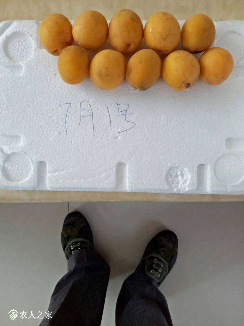 213044iaallafcfzxyyrcm.jpg