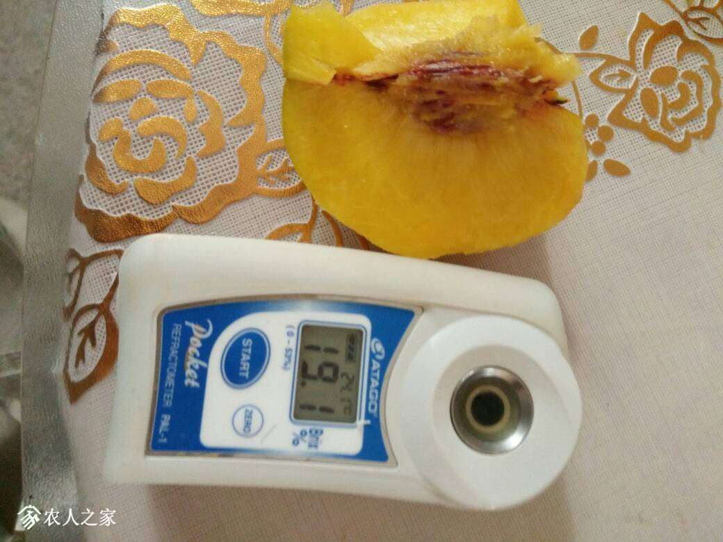 223955dtqdt0u0ouuruhop.jpg
