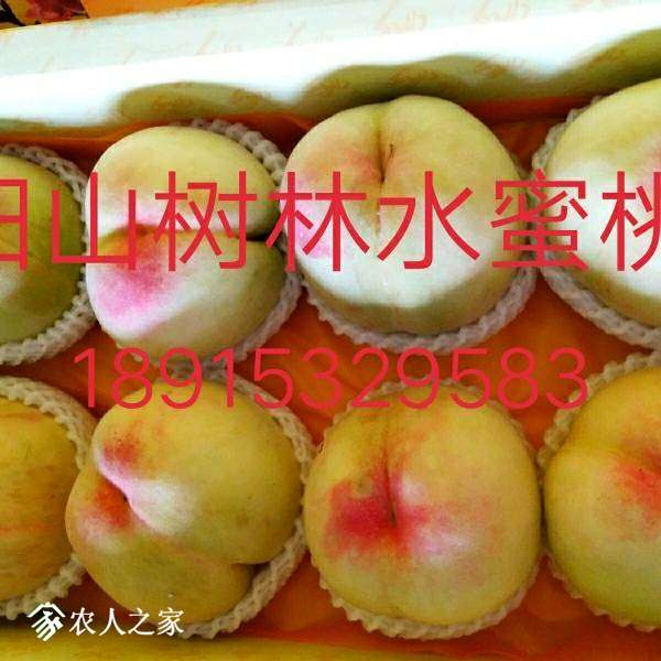 093741xwlz6c6khwnffg60.jpg
