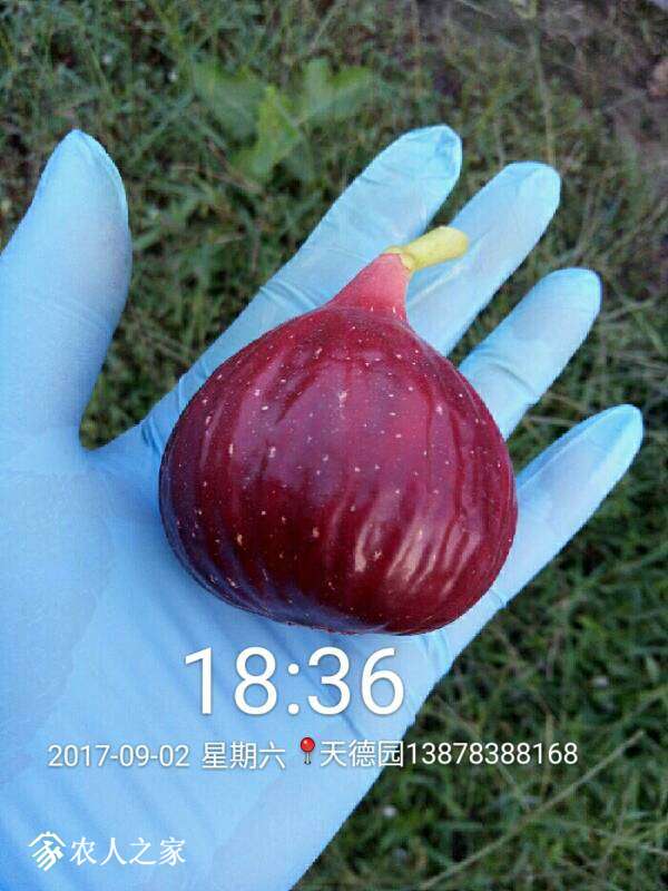 133953dw4j4u4n188zzyd6.jpg