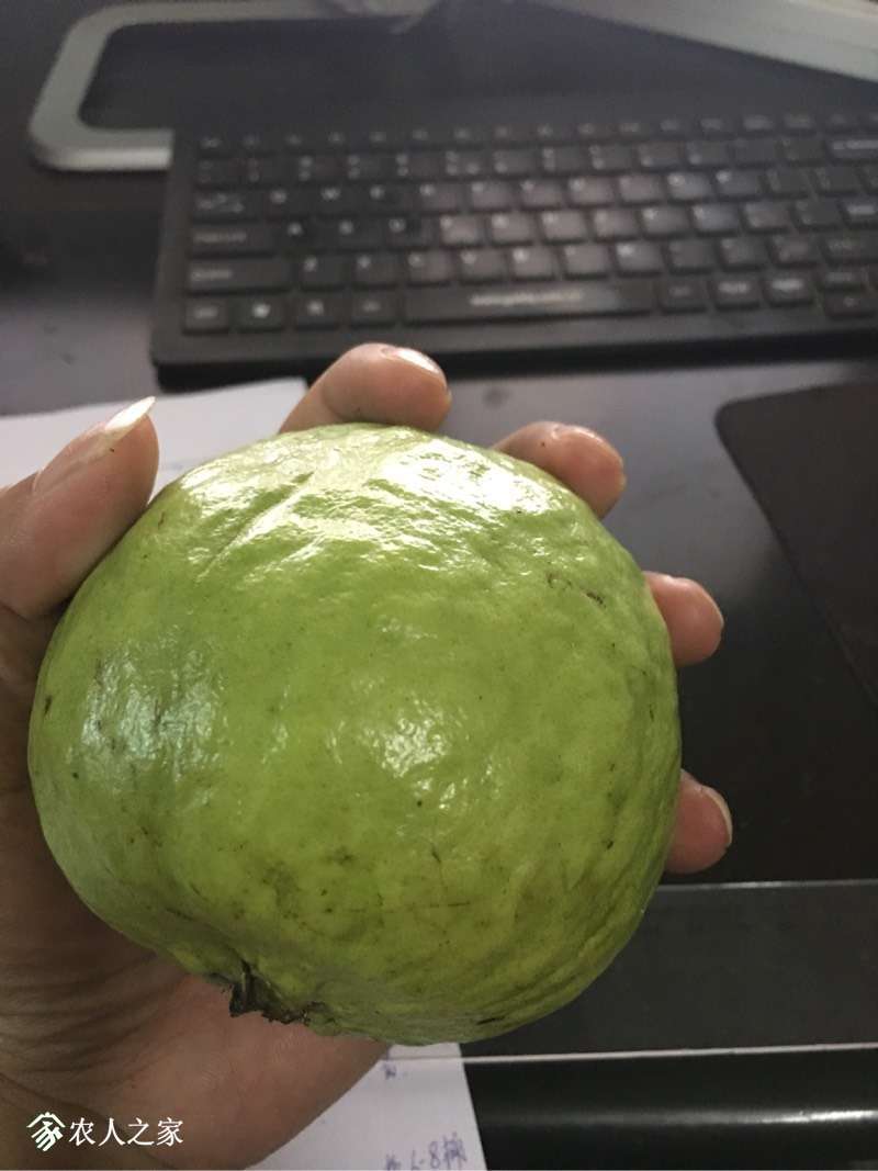 165514tmuyabyubbnnygee.jpg