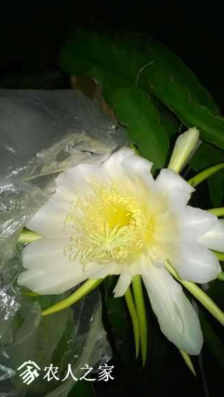 WP_20170903_003.jpg
