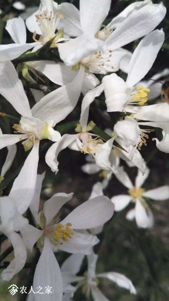 120051sgaprgtzwqtljcjo.jpg