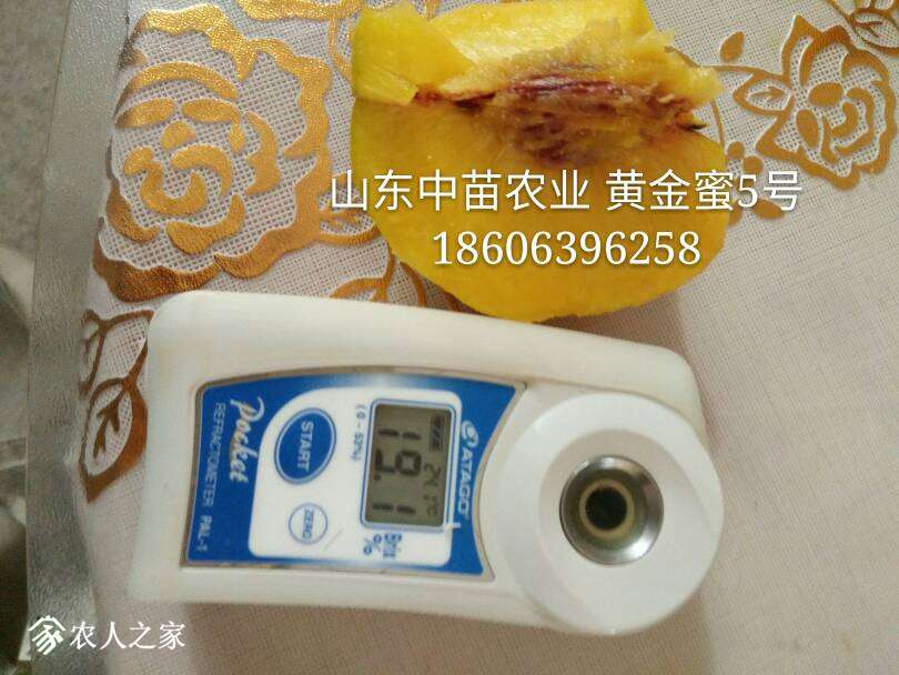 202318cedlf34qezw4gr83.jpg