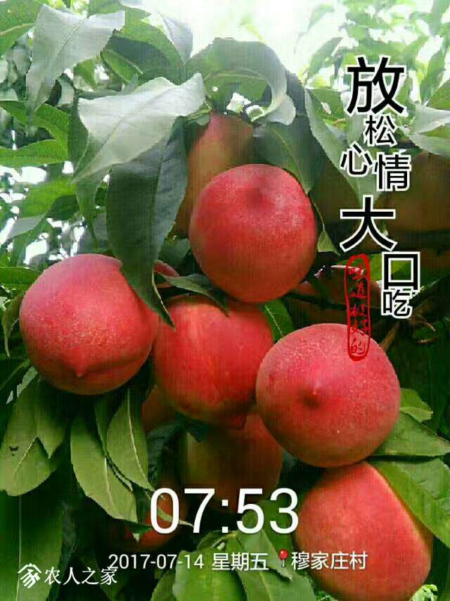 100453ujub5ror0pbjubsm.jpg