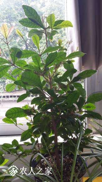 20170905_102244.jpg