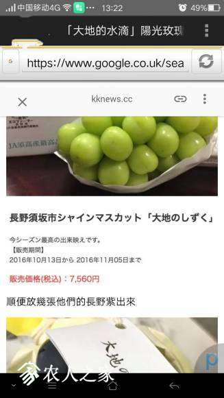 IMG_20170905_7.jpg