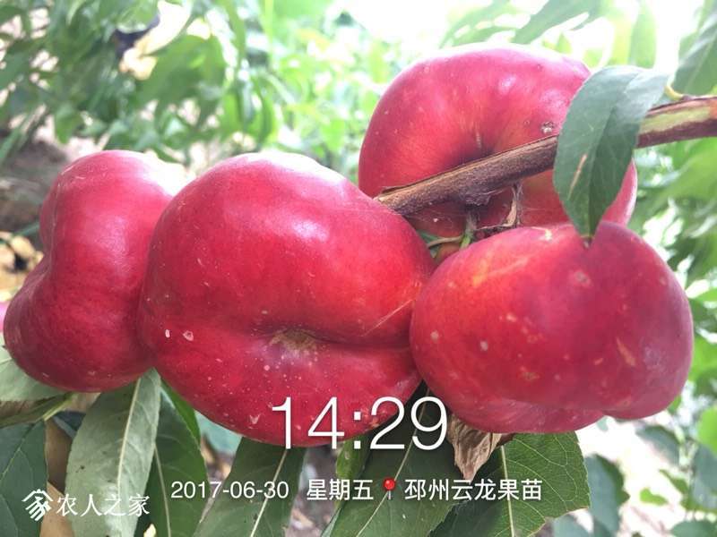143923e5zkjw02ii01iio1.jpg