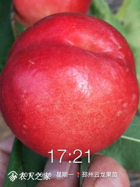 143923i2w9o2ojw5p2kqjm.jpg