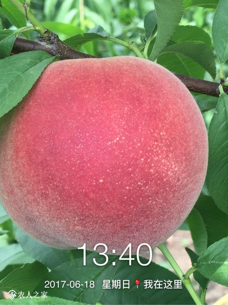 143923rd6qj6i7e6izoe8v.jpg
