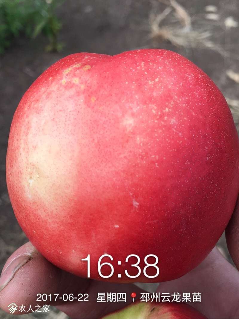 143923vxxd5li4xllqotli.jpg