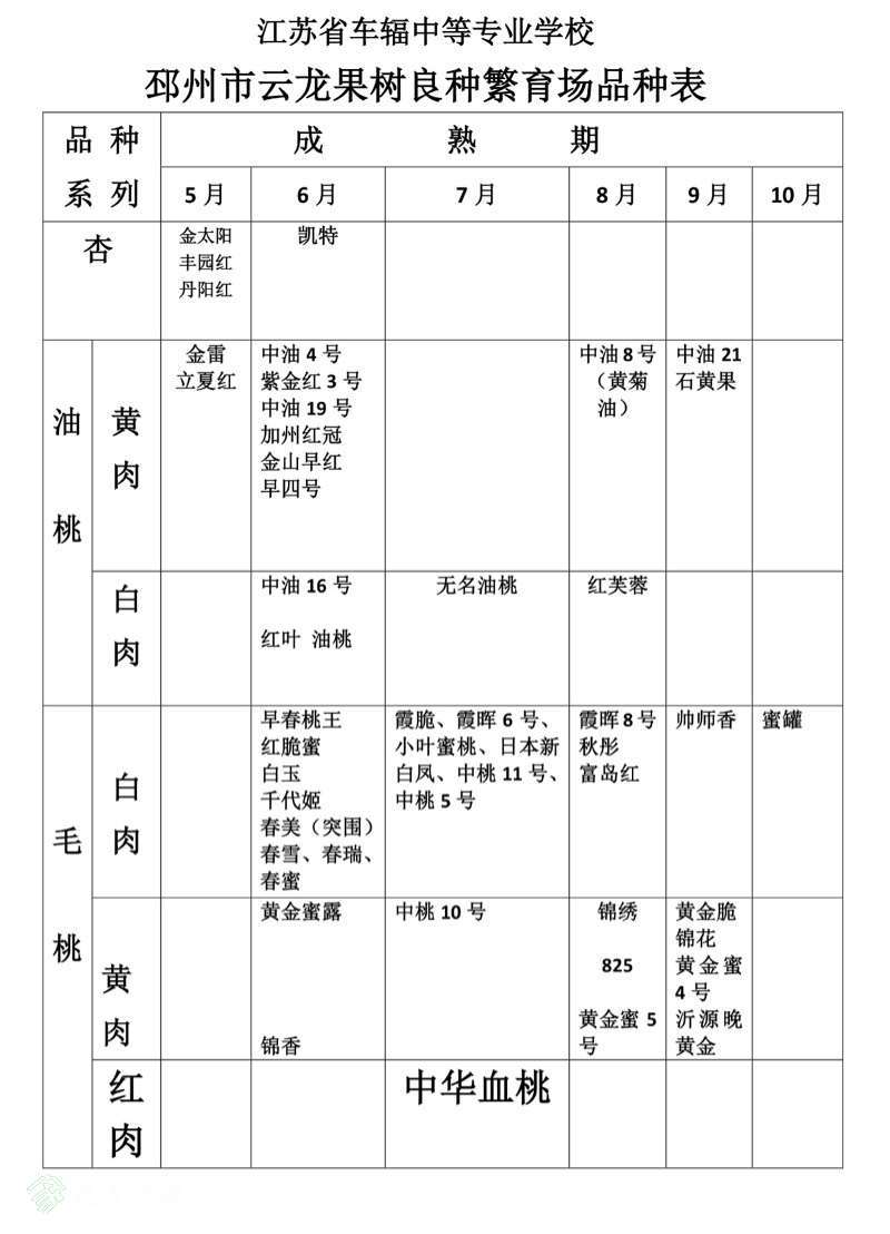 185113oy68oe8g8egenznb.jpg