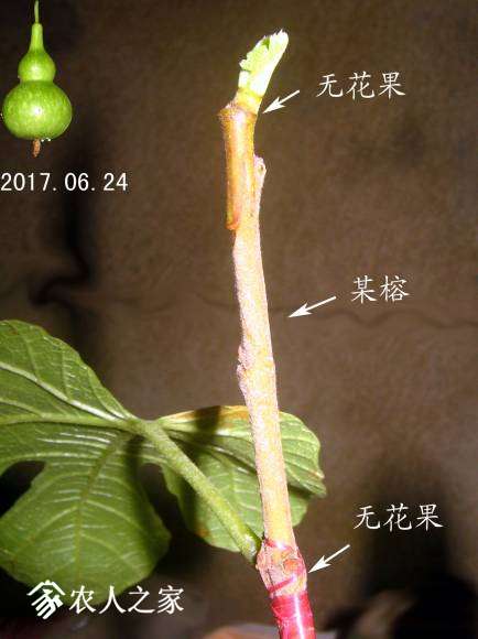 IMG_9673.jpg