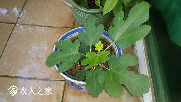 20170607_070329.jpg