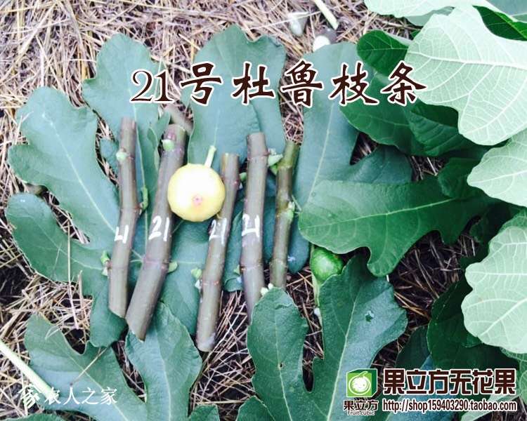 134306nir9yurum12drwb4.jpg