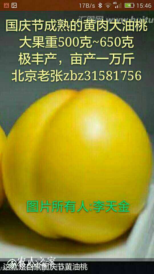 183857hzirbwiv4mqizrcb.jpg