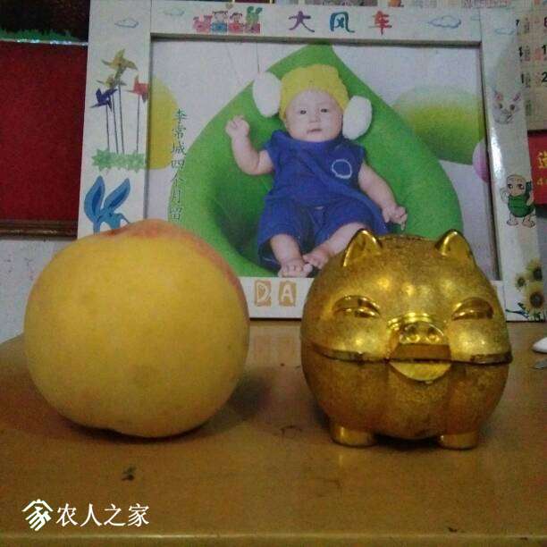 204414o1jxvru9jsyu30jx.jpg